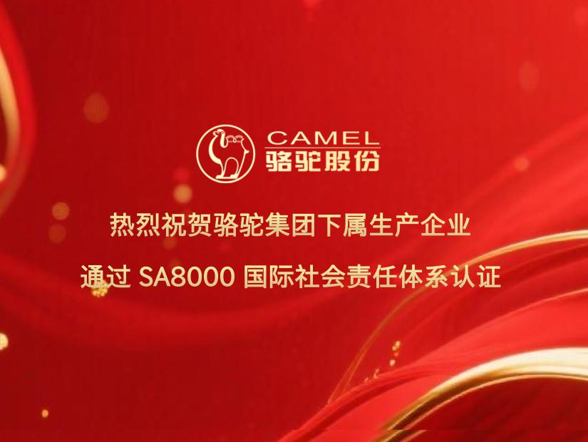 骆驼集团下属生产企业通过 SA8000 国际社会责任体系认证